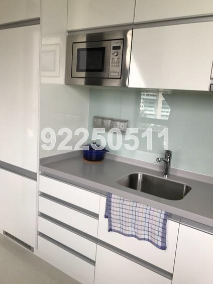 Harbour Suites (D4), Apartment #160653882